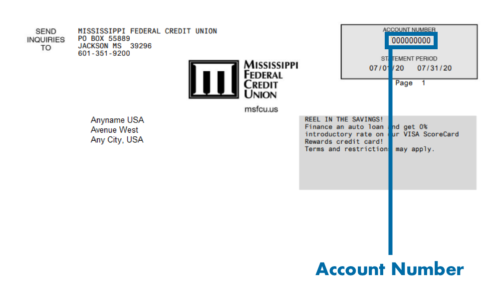 In Unisolve and Cross, how to check the account statement